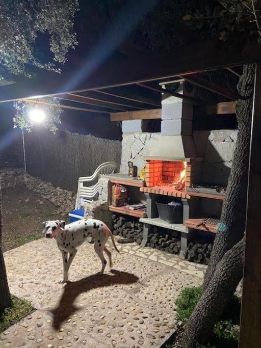 Desconexion Y Paz, Cabana En La Sierra Albalate De Zorita Exteriör bild