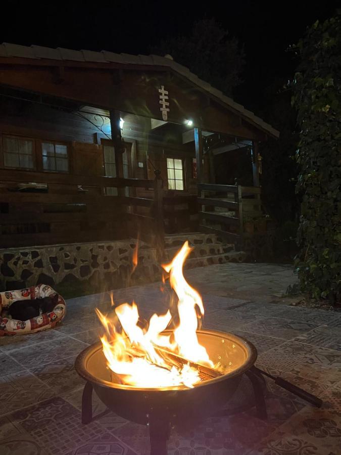 Desconexion Y Paz, Cabana En La Sierra Albalate De Zorita Exteriör bild